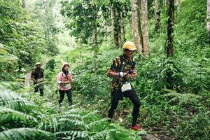 BIB: 
                            <button type="button" onclick="openModal(26373191)" class="btn btn-primary btn-sm float-right btn-popup" data-toggle="modal" data-target=".modal-high-quality">
                        <i class="fas fa-shopping-cart"></i> Add to Cart
                    </button>
                                            <button type="button" onclick="isThisMe(26373191, true)" class="btn btn-success btn-sm float-right btn-popup btn-isme hidden" data-toggle="tooltip" data-placement="bottom" title="นี่คือรูปของคุณใช่ไหม คลิกที่นี่เพื่อเอาเข้าอัลบั้ม">
                        <i class="fas fa-plus"></i> Add to album
                    </button>
                    <button type="button" onclick="isThisMe(26373191, false)" class="btn btn-warning btn-sm float-right btn-popup btn-isnotme hidden">
                        <i class="fas fa-ban"></i> Remove from album
                    </button>